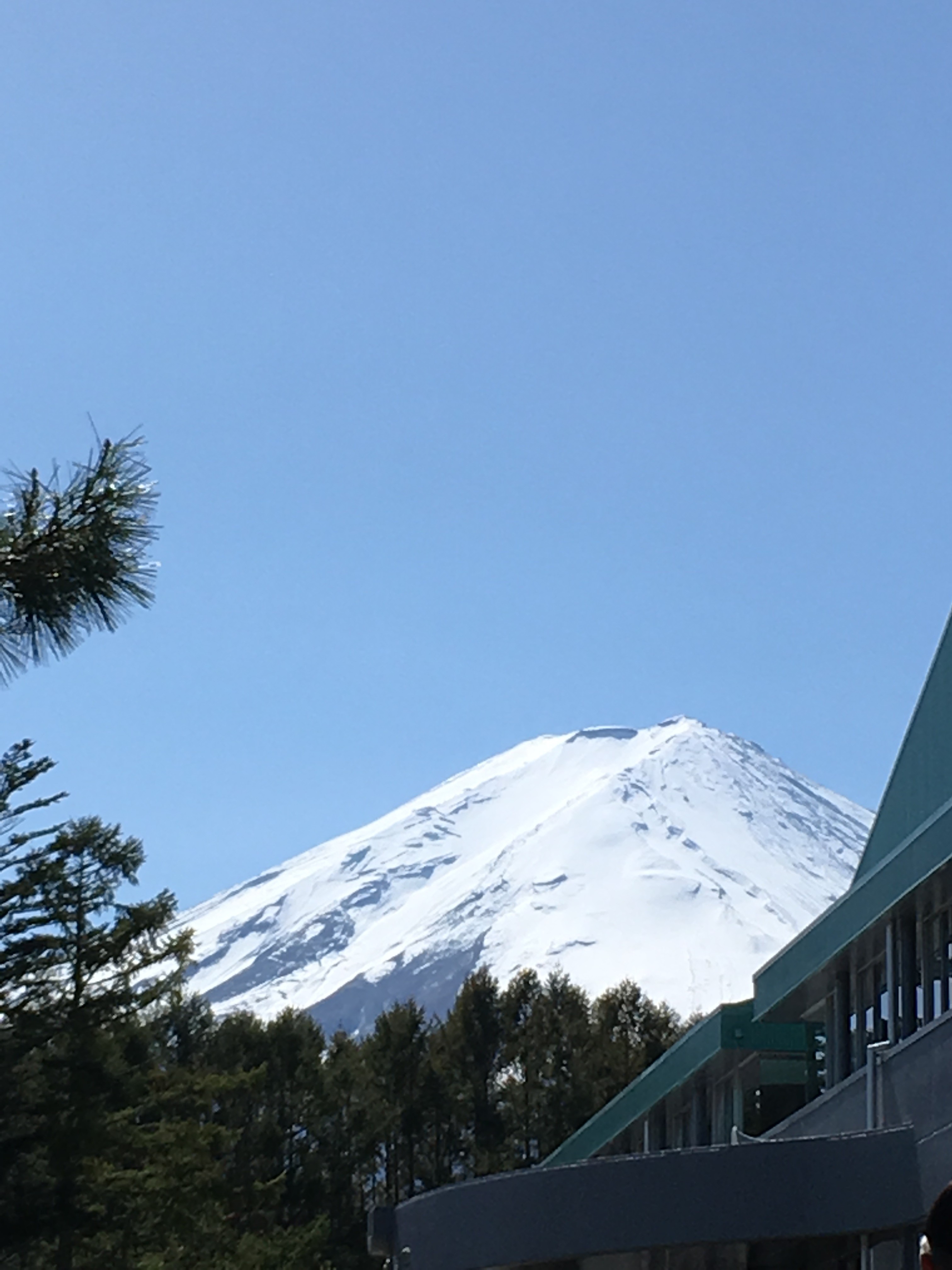 富士河口湖町　町民体育館から富士山を望む
